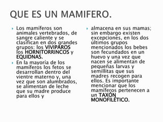  Los mamíferos son
animales vertebrados, de
sangre caliente y se
clasifican en dos grandes
grupos: los VIVIPAROS
los HORNITORRINCOS y
EQUIDNAS.
 En la mayoría de los
mamíferos los fetos se
desarrollan dentro del
vientre materno y, una
vez que son alumbrados,
se alimentan de leche
que su madre produce
para ellos y
 almacena en sus mamas;
sin embargo existen
excepciones, en los dos
últimos grupos
mencionados los bebes
son fecundados en un
huevo y una vez que
nacen se alimentan de
pequeñas larvas y
semillitas que sus
madres recogen para
ellos. Es importante
mencionar que los
mamíferos pertenecen a
un TAXÓN
MONOFILÉTICO.
 