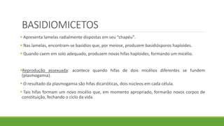 BASIDIOMICETOS
 Apresenta lamelas radialmente dispostas em seu “chapéu”.
 Nas lamelas, encontram-se basídios que, por meiose, produzem basidiósporos haploides.
 Quando caem em solo adequado, produzem novas hifas haploides, formando um micélio.
Reprodução assexuada: acontece quando hifas de dois micélios diferentes se fundem
(plasmogamia).
 O resultado da plasmogamia são hifas dicarióticas, dois núcleos em cada célula.
 Tais hifas formam um novo micélio que, em momento apropriado, formarão novos corpos de
constituição, fechando o ciclo da vida.
 