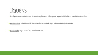 LÍQUENS
 Os líquens constituem-se de associações entre fungos e algas unicelulares ou cianobactérias.
 Micobionte: componente heterotrófico, é um fungo ascomiceto geralmente.
 Ficobionte: alga verde ou cianobactéria.
 