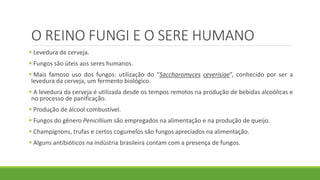 O REINO FUNGI E O SERE HUMANO
 Levedura de cerveja.
 Fungos são úteis aos seres humanos.
 Mais famoso uso dos fungos: utilização do “Saccharomyces ceverisiae”, conhecido por ser a
levedura da cerveja, um fermento biológico.
 A levedura da cerveja é utilizada desde os tempos remotos na produção de bebidas alcoólicas e
no processo de panificação.
 Produção de álcool combustível.
 Fungos do gênero Penicillium são empregados na alimentação e na produção de queijo.
 Champignons, trufas e certos cogumelos são fungos apreciados na alimentação.
 Alguns antibióticos na indústria brasileira contam com a presença de fungos.
 