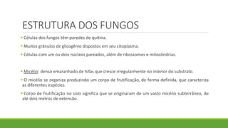 ESTRUTURA DOS FUNGOS
 Células dos fungos têm paredes de quitina.
 Muitos grânulos de glicogênio dispostos em seu citoplasma.
 Células com um ou dois núcleos pareados, além de ribossomos e mitocôndrias.
 Micélio: denso emaranhado de hifas que cresce irregularmente no interior do substrato.
 O micélio se organiza produzindo um corpo de frutificação, de forma definida, que caracteriza
as diferentes espécies.
 Corpo de frutificação no solo significa que se originaram de um vasto micélio subterrâneo, de
até dois metros de extensão.
 