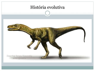 História evolutiva