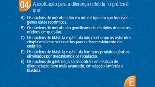 A) Os núcleos de mórula estão em um estágio em que todos os
genes estão reprimidos.
B) Os núcleos de mórula são geneticamente distintos dos outros
núcleos em questão.
C) Os núcleos de blástula e gástrula não receberam os estímulos
citoplasmáticos necessários para o desenvolvimento do
embrião.
D) Os núcleos de blástula e gástrula têm seus produtos gênicos
eliminados por mecanismos de regulação.
E) Os núcleos de gástrula já se encontram em estágio de
diferenciação bem mais avançado, em relação à mórula e
blástula.
A explicação para a diferença refletida no gráfico é
que:
 