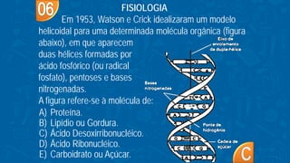 A) Proteína.
B) Lipídio ou Gordura.
C) Ácido Desoxirribonucléico.
D) Ácido Ribonucléico.
E) Carboidrato ou Açúcar.
FISIOLOGIA
Em 1953, Watson e Crick idealizaram um modelo
helicoidal para uma determinada molécula orgânica (figura
abaixo), em que aparecem
duas hélices formadas por
ácido fosfórico (ou radical
fosfato), pentoses e bases
nitrogenadas.
A figura refere-se à molécula de:
 