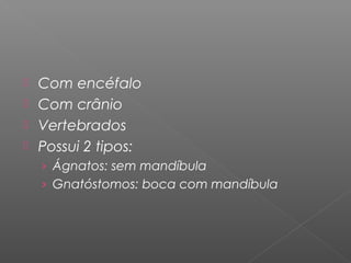  Com encéfalo
 Com crânio
 Vertebrados
 Possui 2 tipos:
› Ágnatos: sem mandíbula
› Gnatóstomos: boca com mandíbula
 
