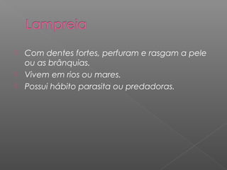  Com dentes fortes, perfuram e rasgam a pele
ou as brânquias.
 Vivem em rios ou mares.
 Possui hábito parasita ou predadoras.
 