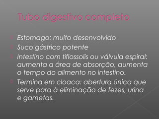  Estomago: muito desenvolvido
 Suco gástrico potente
 Intestino com tiflossolis ou válvula espiral:
aumenta a área de absorção, aumenta
o tempo do alimento no intestino.
 Termina em cloaca: abertura única que
serve para à eliminação de fezes, urina
e gametas.
 
