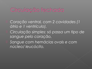  Coração ventral, com 2 cavidades (1
átrio e 1 ventrículo).
 Circulação simples: só passa um tipo de
sangue pelo coração.
 Sangue com hemácias ovais e com
núcleo/ leucócito.
 