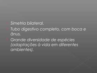  Simetria bilateral.
 Tubo digestivo completo, com boca e
ânus.
 Grande diversidade de espécies
(adaptações à vida em diferentes
ambientes).
 