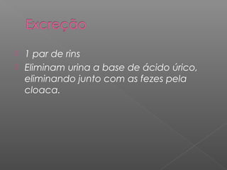  1 par de rins
 Eliminam urina a base de ácido úrico,
eliminando junto com as fezes pela
cloaca.
 