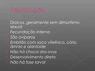  Dioicos, geralmente sem dimorfismo
sexual
 Fecundação interna
 São ovíparos
 Embrião com saco vitelínico, cório,
âmnio e alantoide
 Não há choca dos ovos
 Desenvolvimento direto
 Não há fase larval
 