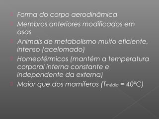  Forma do corpo aerodinâmica
 Membros anteriores modificados em
asas
 Animais de metabolismo muito eficiente,
intenso (acelomado)
 Homeotérmicos (mantém a temperatura
corporal interna constante e
independente da externa)
 Maior que dos mamíferos (Tmédia = 40ºC)
 
