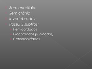  Sem encéfalo
 Sem crânio
 Invertebrados
 Possui 3 subfilos:
› Hemicordados
› Urocordados (tunicados)
› Cefalocordados
 