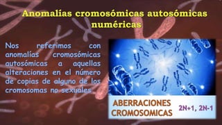 Nos referimos con
anomalías cromosómicas
autosómicas a aquellas
alteraciones en el número
de copias de alguno de los
cromosomas no sexuales
 