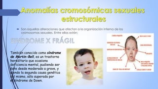  Son aquellas alteraciones que afectan a la organización interna de los
cromosomas sexuales. Entre ellas están:
También conocido como síndrome
de Martin-Bell, es un trastorno
hereditario que ocasiona
deficiencia mental, pudiendo ser
éste desde moderado a grave, y
siendo la segunda causa genética
del mismo, sólo superada por
el síndrome de Down.
 