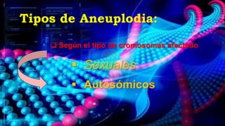 Tipos de Aneuplodia:
 Según el tipo de cromosomas afectado:
 Sexuales
 Autosómicos
 