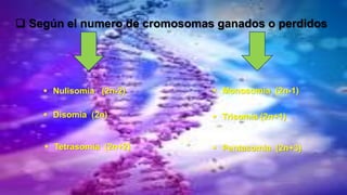  Según el numero de cromosomas ganados o perdidos
 Nulisomia (2n-2)
 Disomia (2n)
 Tetrasomia (2n+2)
 Monosomia (2n-1)
 Trisomía (2n+1)
 Pentasomia (2n+3)
 