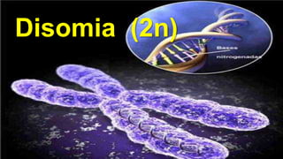 Disomia (2n)
 