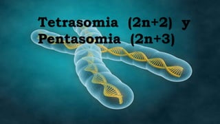 Tetrasomia (2n+2) y
Pentasomia (2n+3)
 