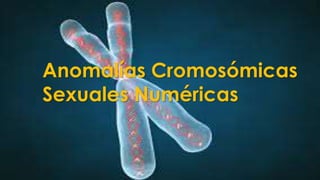 Anomalías Cromosómicas
Sexuales Numéricas
 