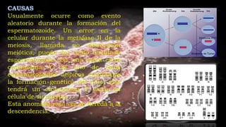CAUSAS
Usualmente ocurre como evento
aleatorio durante la formación del
espermatozoide. Un error en la
celular durante la metafase II de la
meiosis, llamada no disyunción
meiótica, puede dar como resultado
espermatozoide con una copia extra
cromosoma Y. Si uno de estos
espermatozoides atípicos contribuye
la formación genética del niño, éste
tendrá un cromosoma Y extra en
célula de su cuerpo.
Esta anomalía rara vez se hereda a la
descendencia.
 