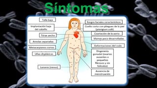 Síntomas
 
