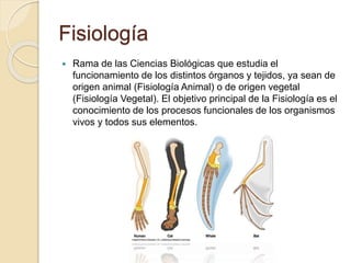 Fisiología
 Rama de las Ciencias Biológicas que estudia el
funcionamiento de los distintos órganos y tejidos, ya sean de
origen animal (Fisiología Animal) o de origen vegetal
(Fisiología Vegetal). El objetivo principal de la Fisiología es el
conocimiento de los procesos funcionales de los organismos
vivos y todos sus elementos.
 
