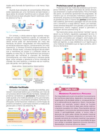 BIOLOGIA 193
tração será chamada de hipertônica e a de menor, hipo-
tônica.
Quando duas soluções de concentrações diferentes
estão separadas por uma membrana semipermeável, a
água passa da solução hipotônica para a solução hiper-
tônica até que as duas soluções fiquem isotônicas, como
se observa na Fig. 2.
Fig. 2 – A osmose.
Em síntese, a célula absorve água quando mergu-
lhada em solução hipotônica e perde, se colocada em
solução hipertônica. Experimentalmente, a osmose na
célula animal pode ser demonstrada por meio das
hemácias. Ao serem mergulhadas em meio hipotônico,
as hemácias absorvem água e, contrariamente, em meio
hipertônico, a hemácia aumenta progressivamente de
volume. Muitas vezes, o excesso de água é de tal ordem
que a membrana se rompe e o conteúdo celular se
espalha no meio (Fig. 3). Esse fenômeno que provoca a
destruição das hemácias é chamado de hemólise.
Contrariamente, em meio hipertônico a hemácia perde
água, sofre retração e apresenta a forma chamada de
crenada. No meio isotônico, a hemácia não se modifica,
pois não perde, nem ganha água.
Fig. 3 – A osmose nas hemácias.
Difusão facilitada
Açúcares e aminoácidos, substâncias hidrófilas, atra-
vessam a bicamada lipídica que é hidrófoba, por meio de
um processo denominado difusão facilitada, realizado por
proteínas carreadoras ou permeases. O processo é ini-
ciado quando uma molécula solúvel, como, por exemplo,
a glicose, liga-se a uma proteína carreadora. Sofrendo mo-
dificações conformacionais (relativas à conformação da
proteína carreadora), a permease transfere a molécula de
glicose para o interior da célula (Fig. 4).
Fig. 4 – A difusão facilitada.
Proteínas-canal ou porinas
Proteínas-canal são moléculas proteicas que formam
poros hidrófilos, também chamados de canais iônicos,
que atravessam a dupla camada lipídica. Para a formação
dos poros, as proteínas apresentam-se pregueadas, de
maneira que os aminoácidos hidrófobos aparecem in-
ternamente, enquanto os aminoácidos hidrófilos compõem
as paredes do canal. A maioria das porinas (proteínas-ca-
nal) é seletiva, permitindo a passagem de íons de acordo
com o tamanho e a carga elétrica. Assim, por exemplo,
canais estreitos bloqueiam íons grandes, já os canais com
revestimento interno negativo atraem e permitem a
passagem de íons positivos (Fig. 5).
Na maioria dos canais, encontramos “portões” que se
abrem ou se fecham, regulando a passagem de íons. A
abertura desses portões é controlada por estímulos. Exis-
tem canais controlados por voltagem, estimulados por
mudanças no potencial de membrana; outros são regu-
lados por ligantes, ou seja, obedecem a um ligante que é
uma molécula sinalizadora que se liga à proteína, abrin-
do-a ou fechando-a.
Fig. 5 – As proteínas-canal.
MEMBRANA PLASMÁTICA E PATOLOGIA
Da integridade estrutural e do perfeito funcionamento
da membrana plasmática, depende a manutenção da
organização e da atividade celular e, consequentemen-
te, a sobrevivência do organismo. Assim, toxinas bac-
terianas, por exemplo, podem alterar as funções
celulares. Um caso típico é dado pelo vibrião colérico,
a bactéria causadora do cólera. Essa bactéria elimina
o colerágeno, uma toxina de natureza proteica. Modifi-
cando a permeabilidade celular, a toxina inibe a
absorção de sódio pelas células da parede intestinal
(enterócitos). O processo determina um aumento da
pressão osmótica do conteúdo intestinal, que passa a
retirar água das células. A enorme quantidade de água
que atinge a cavidade digestória provoca diarreia e
desidratação, sintomas típicos do cólera.
Saiba mais??
C1_1A_Biologia_2013_Keli 10/09/12 12:28 Page 193
 