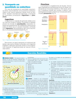BIOLOGIA196
3. Transporte em
quantidade ou endocitose
Por meio do transporte em quantidade, penetram,
na célula, macromoléculas como proteínas e polissaca-
rídeos e até mesmo pequenas células como as bac-
térias. Também chamado de endocitose, o transporte
em quantidade compreende a fagocitose e a pino-
citose.
Fagocitose
A fagocitose é a ingestão de partículas sólidas como
um meio de nutrição ou defesa. O processo é realizado
através da emissão de pseudópodes, expansões ce-
lulares que gradualmente vão englobando a partícula que
acaba no interior de um vacúolo intracelular, conhecido
como fagossomo. Nos protozoários, bem como nas ame-
bas, é um processo de alimentação (Fig. 2).
Fig. 2 – Fagocitose de bactérias por um leucócito.
Nos animais, em geral, representa um mecanismo de
defesa, pelo qual as células conhecidas como fagócitos
englobam e destroem partículas inertes e micro-organis-
mos invasores. A fagocitose pode ser vista ao micros-
cópio óptico.
Pinocitose
A pinocitose é o englobamento de líquidos. Ocorre
pela invaginação da membrana que forma um túbulo, visí-
vel apenas ao microscópio eletrônico. Pelo túbulo, pene-
tra a substância líquida que envolve a célula e, por
estrangulamento basal, originam-se microvacúolos deno-
minados pinossomos (Fig. 3).
Fig. 3 – A pinocitose.
ᕡ(MODELO ENEM) – No esquema abaixo,
aparece um tipo de transporte, realizado pela
membrana plasmática, no qual íons sódio estão
sendo eliminados.
Em relação a esse tipo de transporte, considere
as seguintes afirmativas:
I. Uma das condições para a sua ocorrência é a
existência de um gradiente de concentração.
II. O transporte necessita da atividade das
mitocôndrias.
III. Ocorre a migração de Na+ do local de maior
concentração para o de menor concen-
tração, com gasto de energia.
Quais são as afirmativas corretas?
a) Apenas I.
b) Apenas I e II.
c) Apenas I e III.
d) Apenas II e III.
e) I, II e III.
Resolução
Ocorre migração de Na+ do local de menor con-
centração para o de maior concentração.
Resposta: B
ᕢ(UNESP) – Devido à sua composição
química – a membrana é formada por lipídios e
proteínas– ela é permeável a muitas substâncias
de natureza semelhante. Alguns íons também
entram e saem da membrana com facilidade,
devido ao seu tamanho. ... No entanto, certas
moléculas grandes precisam de uma ajudinha
extra para entrar na célula. Essa ajudinha envolve
uma espécie de porteiro, que examina o que
está fora e o ajuda a entrar.
(Solange Soares de Camargo, in Biologia, Ensino Médio, 2.a
série, volume 1, SEE/SP, 2009.)
No texto, e na ordem em que aparecem, a
autora se refere
a) ao modelo mosaico-fluído da membrana
plasmática, à difusão e ao transporte ativo.
b) ao modelo mosaico-fluído da membrana
plasmática, à osmose e ao transporte
passivo.
c) à permeabilidade seletiva da membrana
plasmática, ao transporte ativo e ao
transporte passivo.
d) aos poros da membrana plasmática, à
osmose e à difusão facilitada.
e) aos poros da membrana plasmática, à difu-
são e à permeabilidade seletiva da mem-
brana.
Resolução
Na sequência do texto, a autora se refere ao
modelo do mosaico-fluído, que se baseia na
composição lipoproteica da membrana plas-
mática; à difusão simples, quando cita permea-
bilidade de alguns íons; e ao transporte ativo
quando faz referência à ajuda que certas molé-
culas de grande porte necessitam ter para entrar
na célula.
Resposta: A
C1_1A_Biologia_2013_Keli 10/09/12 12:28 Page 196
 