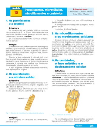 BIOLOGIA 205
10
Peroxissomos, microtúbulos,
microfilamentos e centríolos
• Peroxissomos • Catalase • Tubulina
• Actina • Cílios • Flagelos
1. Os peroxissomos
e a catalase
Estrutura
Os peroxissomos são organelas esféricas, com diâ-
metro variando de 0,1 a 0,5µm, delimitadas por uma
membrana. No seu interior, aparecem enzimas, sendo
mais típica e constante a catalase.
Os peroxissomos são formados no retículo endoplas-
mático granular.
Função
O metabolismo celular forma peróxido de hidrogênio
(H2O2) ou água oxigenada, substância tóxica que danifica
estruturas celulares. A catalase existente nos peroxis-
somos protege a célula contra a ação do H2O2, decom-
pondo-o em H2O e O2.
Quando a água oxigenada é colocada sobre um
ferimento, ela é decomposta em água e oxigênio, provo-
cando a formação de espuma. A decomposição da água
oxigenada é causada pela catalase dos lisossomos,
liberada pelas células lesadas no ferimento.
A água oxigenada combate as bactérias anaeróbias,
com a produção de oxigênio.
2. Os microtúbulos
e a estrutura celular
Estrutura
Observáveis apenas ao microscópio eletrônico, os mi-
crotúbulos constituem cilindros longos e delgados, com
25 a 30nm de diâmetro.
Cada microtúbulo é formado por uma hélice de mo-
léculas globosas de uma proteína, a tubulina (Fig. 1).
Funções
Várias funções são atribuídas aos microtúbulos,
dentre as quais:
• formação do áster e do fuso mitótico durante a
divisão celular;
• formação de um citoesqueleto que age na morfo-
gênese celular;
• estrutura de cílios e flagelos.
3. Os microfilamentos
e os movimentos celulares
Entre as menores estruturas celulares, aparecem os
microfilamentos, delgados, com espessura de 4 a 6 nm,
constituídos por actina, uma proteína contráctil. Por
serem elementos contrácteis, participam de movimentos
celulares, como a ciclose e o movimento ameboide. A
ciclose designa uma série de correntes citoplasmáticas
facilmente observadas em células vegetais. O movimen-
to ameboide é feito pela emissão e contração de pseu-
dópodes.
4.Os centríolos,
o fuso mitótico e o
deslocamento celular
Estrutura
O centro celular ou centríolo é um organoide que apa-
rece perto do núcleo, no centro de uma região chamada
centrosfera. O microscópio eletrônico mostra que cada
centríolo é um cilindro, cuja parede é constituída de 27
microtúbulos dispostos em 9 feixes, cada um dos quais
com 3 microtúbulos paralelos. Cada célula apresenta 2
centríolos perpendiculares um ao outro (Fig. 2).
Na constituição química dos centríolos, aparecem:
água, proteínas, carboidratos, lipídios, DNA e RNA.
Fig. 1 – Estrutura do microtúbulo com subunidades de tubulina.
Fig. 2 – A estrutura do centríolo.
C1_1A_Biologia_2013_Keli 10/09/12 12:28 Page 205
 