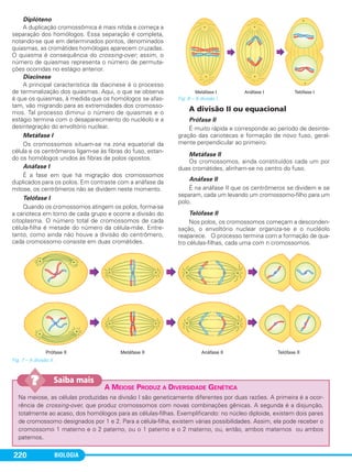 BIOLOGIA220
Diplóteno
A duplicação cromossômica é mais nítida e começa a
separação dos homólogos. Essa separação é completa,
notando-se que em determinados pontos, denominados
quiasmas, as cromátides homólogas aparecem cruzadas.
O quiasma é consequência do crossing-over; assim, o
número de quiasmas representa o número de permuta-
ções ocorridas no estágio anterior.
Diacinese
A principal característica da diacinese é o processo
de terminalização dos quiasmas. Aqui, o que se observa
é que os quiasmas, à medida que os homólogos se afas-
tam, vão migrando para as extremidades dos cromosso-
mos. Tal processo diminui o número de quiasmas e o
estágio termina com o desaparecimento do nucléolo e a
desintegração do envoltório nuclear.
Metáfase I
Os cromossomos situam-se na zona equatorial da
célula e os centrômeros ligam-se às fibras do fuso, estan-
do os homólogos unidos às fibras de polos opostos.
Anáfase I
É a fase em que há migração dos cromossomos
duplicados para os polos. Em contraste com a anáfase da
mitose, os centrômeros não se dividem neste momento.
Telófase I
Quando os cromossomos atingem os polos, forma-se
a carioteca em torno de cada grupo e ocorre a divisão do
citoplasma. O número total de cromossomos de cada
célula-filha é metade do número da célula-mãe. Entre-
tanto, como ainda não houve a divisão do centrômero,
cada cromossomo consiste em duas cromátides.
Fig. 6 – A divisão I.
A divisão II ou equacional
Prófase II
É muito rápida e corresponde ao período de desinte-
gração das cariotecas e formação de novo fuso, geral-
mente perpendicular ao primeiro.
Metáfase II
Os cromossomos, ainda constituídos cada um por
duas cromátides, alinham-se no centro do fuso.
Anáfase II
É na anáfase II que os centrômeros se dividem e se
separam, cada um levando um cromossomo-filho para um
polo.
Telófase II
Nos polos, os cromossomos começam a desconden-
sação, o envoltório nuclear organiza-se e o nucléolo
reaparece. O processo termina com a formação de qua-
tro células-filhas, cada uma com n cromossomos.
Fig. 7 – A divisão II.
A MEIOSE PRODUZ A DIVERSIDADE GENÉTICA
Na meiose, as células produzidas na divisão I são geneticamente diferentes por duas razões. A primeira é a ocor-
rência de crossing-over, que produz cromossomos com novas combinações gênicas. A segunda é a disjunção,
totalmente ao acaso, dos homólogos para as células-filhas. Exemplificando: no núcleo diploide, existem dois pares
de cromossomo designados por 1 e 2. Para a célula-filha, existem várias possibilidades. Assim, ela pode receber o
cromossomo 1 materno e o 2 paterno, ou o 1 paterno e o 2 materno, ou, então, ambos maternos ou ambos
paternos.
Saiba mais??
C1_1A_Biologia_2013_Keli 11/09/12 09:30 Page 220
 