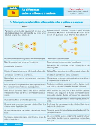 BIOLOGIA224
1. Principais características diferenciais entre a mitose e a meiose
Mitose Meiose
Apresenta uma divisão equacional, em que uma
célula 2n produz duas células 2n, ou então uma
célula n origina duas células n.
Apresenta duas divisões: uma reducional, em que
uma célula 2n produz duas células n e outra equa-
cional, em que cada célula n forma duas células n
Os cromossomos homólogos não entram em sinapse. Há sinapse dos homólogos.
Não há crossing-over entre os homólogos. Ocorre crossing-over entre os homólogos.
Ausência de quiasmas.
Existência de quiasmas como consequência do
crossing-over.
Células-filhas geneticamente idênticas à célula-mãe. Células-filhas geneticamente diferentes da célula-mãe.
Divisão do centrômero na anáfase. Divisão do centrômero só na anáfase II.
Na anáfase, acontece a migração dos cromosso-
mos-filhos.
Migração de cromossomos duplicados na anáfase I
e simplificados na anáfase II.
Produtos mitóticos geralmente são capazes de so-
frer outras divisões mitóticas subsequentes.
Produtos meióticos não podem sofrer divisão meió-
tica, mas podem empreender divisões mitóticas.
Uma divisão por ciclo, isto é, uma divisão citoplas-
mática (citocinese) por divisão cromossômica equa-
cional.
Duas divisões por ciclo, isto é, duas divisões citoplas-
máticas; uma seguindo a divisão cromossômica re-
ducional e a outra a divisão cromossômica equacional.
Duas células-filhas produzidas por ciclo.
Quatro células (gametas ou esporos) produzidas por
ciclo.
O número de cromossomos das células-filhas é o
mesmo que o da célula-mãe.
O número de cromossomos das células-filhas é me-
tade do da célula-mãe.
Ocorre normalmente na maioria das células somá-
ticas.
Presente somente nas células especializadas da linha-
gem germinativa.
Começa no estágio de zigoto e continua ao longo da
vida do organismo.
Dá-se somente após o organismo superior atingir
maturidade; também ocorre no zigoto de muitas algas
e fungos.
16
As diferenças
entre a mitose e a meiose
• Crossing-over • Astral • Anastral
• Cêntrica • Acêntrica
C1_1A_Biologia_2013_Keli 10/09/12 12:28 Page 224
 