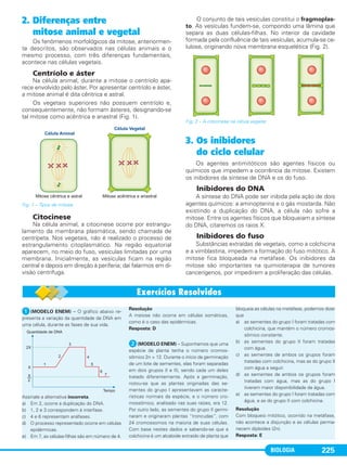 BIOLOGIA 225
2. Diferenças entre
mitose animal e vegetal
Os fenômenos morfológicos da mitose, anteriormen-
te descritos, são observados nas células animais e o
mesmo processo, com três diferenças fundamentais,
acontece nas células vegetais.
Centríolo e áster
Na célula animal, durante a mitose o centríolo apa-
rece envolvido pelo áster. Por apresentar centríolo e áster,
a mitose animal é dita cêntrica e astral.
Os vegetais superiores não possuem centríolo e,
consequentemente, não formam ásteres, designando-se
tal mitose como acêntrica e anastral (Fig. 1).
Fig. 1 – Tipos de mitose.
Citocinese
Na célula animal, a citocinese ocorre por estrangu-
lamento da membrana plasmática, sendo chamada de
centrípeta. Nos vegetais, não é realizado o processo de
estrangulamento citoplasmático. Na região equatorial
aparecem, no meio do fuso, vesículas limitadas por uma
membrana. Inicialmente, as vesículas ficam na região
central e depois em direção à periferia; daí falarmos em di-
visão centrífuga.
O conjunto de tais vesículas constitui o fragmoplas-
to. As vesículas fundem-se, compondo uma lâmina que
separa as duas células-filhas. No interior da cavidade
formada pela confluência de tais vesículas, acumula-se ce-
lulose, originando nova membrana esquelética (Fig. 2).
Fig. 2 – A citocinese na célula vegetal.
3. Os inibidores
do ciclo celular
Os agentes antimitóticos são agentes físicos ou
químicos que impedem a ocorrência da mitose. Existem
os inibidores da síntese de DNA e os do fuso.
Inibidores do DNA
A síntese do DNA pode ser inibida pela ação de dois
agentes químicos: a aminopterina e o gás mostarda. Não
existindo a duplicação do DNA, a célula não sofre a
mitose. Entre os agentes físicos que bloqueiam a síntese
do DNA, citaremos os raios X.
Inibidores do fuso
Substâncias extraídas de vegetais, como a colchicina
e a vimblastina, impedem a formação do fuso mitótico. A
mitose fica bloqueada na metáfase. Os inibidores da
mitose são importantes na quimioterapia de tumores
cancerígenos, por impedirem a proliferação das células.
ᕡ(MODELO ENEM) – O gráfico abaixo re-
presenta a variação da quantidade de DNA em
uma célula, durante as fases de sua vida.
Assinale a alternativa incorreta.
a) Em 2, ocorre a duplicação do DNA.
b) 1, 2 e 3 correspondem à interfase.
c) 4 e 6 representam anáfases.
d) O processo representado ocorre em células
epidérmicas.
e) Em 7, as células-filhas são em número de 4.
Resolução
A meiose não ocorre em células somáticas,
como é o caso das epidérmicas.
Resposta: D
ᕢ(MODELO ENEM) – Suponhamos que uma
espécie de planta tenha o número cromos-
sômico 2n = 12. Durante o início da germinação
de um lote de sementes, elas foram separadas
em dois grupos (I e II), sendo cada um deles
tratado diferentemente. Após a germinação,
notou-se que as plantas originadas das se-
mentes do grupo I apresentavam as caracte-
rísticas normais da espécie, e o número cro-
mossômico, analisado nas suas raízes, era 12.
Por outro lado, as sementes do grupo II germi-
naram e originaram plantas “troncudas”, com
24 cromossomos na maioria de suas células.
Com base nestes dados e sabendo-se que a
colchicina é um alcaloide extraído de planta que
bloqueia as células na metáfase, podemos dizer
que
a) as sementes do grupo I foram tratadas com
colchicina, que mantém o número cromos-
sômico constante.
b) as sementes do grupo II foram tratadas
com água.
c) as sementes de ambos os grupos foram
tratadas com colchicina, mas as do grupo II
com água a seguir.
d) as sementes de ambos os grupos foram
tratadas com água, mas as do grupo I
tiveram maior disponibilidade de água.
e) as sementes do grupo I foram tratadas com
água, e as do grupo II com colchicina.
Resolução
Com bloqueio mitótico, ocorrido na metáfase,
não acontece a disjunção e as células perma-
necem diploides (2n).
Resposta: E
C1_1A_Biologia_2013_Keli 10/09/12 12:28 Page 225
 