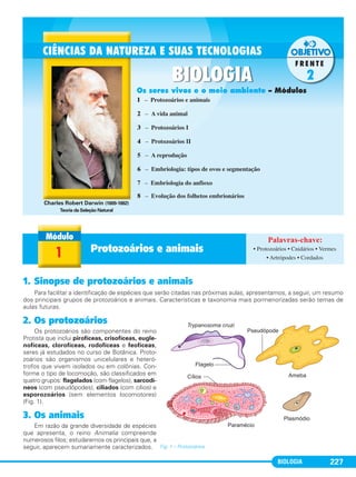 BIOLOGIA 227
1. Sinopse de protozoários e animais
Para facilitar a identificação de espécies que serão citadas nas próximas aulas, apresentamos, a seguir, um resumo
dos principais grupos de protozoários e animais. Características e taxonomia mais pormenorizadas serão temas de
aulas futuras.
2. Os protozoários
Os protozoários são componentes do reino
Protista que inclui pirofíceas, crisofíceas, eugle-
nofíceas, clorofíceas, rodofíceas e feofíceas,
seres já estudados no curso de Botânica. Proto-
zoários são organismos unicelulares e heteró-
trofos que vivem isolados ou em colônias. Con-
forme o tipo de locomoção, são classificados em
quatro grupos: flagelados (com flagelos), sarcodí-
neos (com pseudópodes), ciliados (com cílios) e
esporozoários (sem elementos locomotores)
(Fig. 1).
3. Os animais
Em razão da grande diversidade de espécies
que apresenta, o reino Animalia compreende
numerosos filos; estudaremos os principais que, a
seguir, aparecem sumariamente caracterizados. Fig. 1 – Protozoários.
1 Protozoários e animais • Protozoários • Cnidários • Vermes
• Artrópodes • Cordados
Charles Robert Darwin (1809-1882)
Teoria da Seleção Natural
1 – Protozoários e animais
2 – A vida animal
3 – Protozoários I
4 – Protozoários II
5 – A reprodução
6 – Embriologia: tipos de ovos e segmentação
7 – Embriologia do anfioxo
8 – Evolução dos folhetos embrionários
Os seres vivos e o meio ambiente – Módulos
C1_1A_Biologia_2013_Keli 10/09/12 12:28 Page 227
 