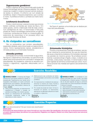 BIOLOGIA234
Trypanosoma gambiensi
Produz a doença do sono transmitida pela picada da
mosca hematófaga tsé-tsé (Glossina palpalis). Os tripa-
nossomas invadem o sistema nervoso central, produzin-
do lesões no cérebro. O enfermo cai num estado de
sonolência, torpor e fraqueza progressiva, que o conduz
à morte. A profilaxia envolve o combate ao inseto trans-
missor.
Leishmania brasiliensis
Produz a leishmaniose cutaneomucosa que provoca
lesões cutâneas conhecidas por úlcera de Bauru. Em
casos graves, ocorre a destruição total de toda a estru-
tura cartilaginosa do nariz. A transmissão é feita pela
picada de insetos hematófagos pertencentes ao gênero
Lutzomyia, conhecidos por birigui ou mosquito-palha. O
extermínio do transmissor é um processo difícil nas
vastas áreas florestais do Brasil.
4. Os rizópodos ou sarcodíneos
São os protozoários que emitem pseudópodes,
expansões celulares, para a locomoção e a captura de ali-
mento. Como representantes típicos, estudaremos a
Amoeba proteus e a Entamoeba histolytica.
Amoeba proteus
Conhecida como ameba, é encontrada na água doce.
Na Figura 3, observamos uma ameba, na qual a forma da
célula varia continuamente com a emissão e retração dos
pseudópodes. No citoplasma, notamos os vacúolos con-
trácteis e digestórios, organelas relacionadas com a
nutrição.
Na Figura 4, aparece uma ameba que se desloca por
meio dos pseudópodes.
Entamoeba histolytica
Provoca uma parasitose chamada amebíase, que po-
de ser intestinal ou extraintestinal. No caso da intestinal,
ela causa a disenteria amebiana e forma lesões ulcerosas
nas paredes do intestino grosso. Na amebíase extrain-
testinal, o parasita atinge o fígado, o baço, o cérebro e os
pulmões, onde produz necroses. A transmissão é feita
pela ingestão de alimento contaminado por cistos. A pro-
filaxia consiste nas medidas de higiene e de saneamento
básico.
Fig. 3 – A Amoeba proteus.
Fig. 4 – Locomoção da ameba por meio
da sucessiva emissão dos pseudópodes A, B, C e D.
ᕡ(MODELO ENEM) – A doença de Chagas
constitui-se numa grave endemia no Brasil, é
causada pelo Trypanosoma cruzi, tendo como
hospedeiro intermediário um inseto conhecido
popularmente como barbeiro. Das alternativas
abaixo todas estão relacionadas à doença de
Chagas, exceto:
a) Pela corrente sanguínea, os tripanossomos
espalham-se e atingem o coração, as
paredes do esôfago e do intestino grosso.
b) Dentre os mecanismos de transmissão
conhecidos atualmente, estão a via
placentária e o leite materno.
c) Melhoramento das condições de habita-
ção da população rural constitui uma medida
profilática.
d) Os tripanossomos multiplicam-se assexua-
damente no intestino do inseto, ficando a
porção final cheia de formas infectantes.
e) Por ocasião da picada do inseto, formas in-
fectantes do parasito, os esporozoítos,
abandonam as glândulas salivares do inseto
e invadem o organismo.
Resolução
Resposta: E
ᕢ(MODELO ENEM) – A amebíase é uma
doença difundida por todo mundo, que afeta
principalmente o intestino grosso. A transmis-
são se dá pela ingestão de água ou alimento
contaminado com cistos de pessoas infectadas.
A doença é causada
a) pelo protozoário Amoeba proteus.
b) pela bactéria Leishmania brasiliensis.
c) pelo protozoário Entamoeba histolytica.
d) pela bactéria Ancylostoma duodenale.
e) pela bactéria Escherichia coli.
Resolução
Resposta: C
ᕡO que são protozoários? De que maneira são classificados?
RESOLUÇÃO:
Protozoários são seres primitivos cujo corpo é formado por uma única célula. São classificados, de acordo com as estruturas locomotoras,
em quatro classes principais: Sarcodíneos (com pseudópodos), Flagelados (com flagelos), Ciliados (com cílios), Esporozoários (sem estruturas
locomotoras).
C1_1A_Biologia_2013_Keli 10/09/12 12:28 Page 234
 