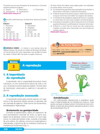 BIOLOGIA238
O parasita que provoca elevações da temperatura a intervalos
regulares pertence ao gênero
a) Ascaris. b) Plasmodium. c) Entamoeba.
d) Schistosoma. e) Trypanosoma.
ᕥAssinale a alternativa que, corretamente, associa as colunas
I e II.
Coluna I Coluna II
1 – Paramécio A – Sarcodíneo
2 – Euglena B – Flagelado
3 – Ameba C – Esporozoário
4 – Plasmodium D – Ciliado
a) 1A – 2B – 3C – 4D. b) 1B – 2A – 3C – 4D.
c) 1B – 2A – 3D – 4C. d) 1D – 2B – 3A – 4C.
e) 1B – 2D – 3C – 4A.
ᕦ(MODELO ENEM) – A malária é uma doença típica de
regiões tropicais. De acordo com dados do Ministério da Saúde,
no final do século XX, foram registrados mais de 600 mil casos
de malária no Brasil, 99% dos quais na região amazônica.
Os altos índices de malária nessa região podem ser explicados
por várias razões, entre as quais:
a) As características genéticas das populações locais facilitam a
transmissão e dificultam o tratamento da doença.
b) A falta de saneamento básico propicia o desenvolvimento do
mosquito transmissor da malária nos esgotos não tratados.
c) A inexistência de predadores capazes de eliminar o causador
e o transmissor em seus focos impede o controle da doença.
d) A temperatura elevada e os altos índices de chuva na floresta
equatorial favorecem a proliferação do mosquito transmissor.
e) O Brasil é o único País do mundo que não implementou
medidas concretas para interromper sua transmissão em
núcleos urbanos.
RESOLUÇÃO: Resposta: D
RESOLUÇÃO: Resposta: D
RESOLUÇÃO: Resposta: B
1. A importância
da reprodução
A reprodução, isto é, a capacidade de produzir novos
indivíduos, é uma característica básica de todo o ser
vivo, necessária à preservação da espécie. Há dois tipos
de reprodução: assexuada ou agâmica e sexuada ou
gâmica.
2. A reprodução assexuada
A reprodução assexuada envolve apenas um orga-
nismo e não apresenta células sexuais ou gametas, daí
ser chamada de agâmica. Pode ocorrer por brotamento,
estrobilização e regeneração.
Brotamento ou gemiparidade
Consiste no aparecimento, sobre um organismo, de
uma protuberância chamada de broto ou gema que,
depois de se destacar, cresce e constitui um novo orga-
nismo, ou então permanece unida, iniciando a formação
de uma colônia. As colônias, comuns em espongiários e
celenterados, originam-se de um indivíduo inicial que se
multiplica por brotamento (Fig. 1).
Estrobilização
Em celenterados, platielmintes e anelídeos, pode
haver a fragmentação de um indivíduo em duas ou mais
partes, as quais se desenvolvem formando animais com-
pletos. A esse tipo de processo reprodutivo dá-se o nome
de estrobilização (Fig. 2).
Fig. 2 – Estrobilização na medusa Aurelia.
Espongiário. Celenterado (Hydra).
Fig. 1 – Brotamento em espongiários e celenterados.
5 A reprodução • Brotamento • Estrobilização
• Regeneração • Partenogênese
• Poliembrionia
Para saber mais sobre o assunto, acesse o PORTAL
OBJETIVO (www.portal.objetivo.br) e, em “localizar”,
digite BIO1M120
No Portal Objetivo
C1_1A_Biologia_2013_Keli 10/09/12 12:28 Page 238
 