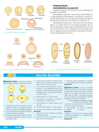 BIOLOGIA242
Segmentação
meroblástica ou parcial
Acontece apenas numa parte do ovo, podendo ser
discoidal e superficial.
Meroblástica discoidal – ocorre nos ovos telolécitos.
A segmentação atinge apenas a cicatrícula e acaba for-
mando a blastoderma, uma camada celular que recobre a
blastocela, situada entre as células e o vitelo (Fig. 4).
Meroblástica superficial – acontece nos ovos centro-
lécitos. O núcleo entra em sucessivas divisões. Os nú-
cleos resultantes migram para a porção periférica do ovo
que se transforma num citoplasma plurinucleado que,
com o aparecimento de membranas divisórias, transfor-
ma-se na blastoderme (Fig. 5).Fig. 3 – Segmentação total, desigual.
ᕡ(MODELO ENEM) – Observe a sequência
de ovos abaixo e assinale a alternativa correta.
I. O ovo pertencente aos mamíferos é do tipo
oligolécito. Esse ovo apresenta bastante
vitelo e sua clivagem é holoblástica desigual.
II. O ovo pertencente aos anfíbios apresenta
clivagem holoblástica desigual.
III. O ovo dos insetos denomina-se centrolécito
e apresenta duplicação nuclear em toda a
sua região central.
IV. O ovo das aves apresenta clivagem holo-
blástica total, de modo que todos os blas-
tômeros têm o mesmo tamanho.
V. O ovo heterolécito pertence aos anfíbios,
enquanto o ovo oligolécito pertence aos
mamíferos. Ambos têm padrão de clivagem
holoblástica total, originando blastômeros
de tamanho igual.
a) As afirmações I, II e III são corretas.
b) A afirmação I é incorreta, enquanto as
afirmações II e IV são corretas.
c) As afirmações IV e V são corretas e a II é
incorreta.
d) Somente as afirmações I e V são corretas.
e) Somente as afirmações II e III são corretas.
Resolução
I. Incorreta. No ovo de mamíferos, a clivagem
é holoblástica igual.
IV. Incorreta. Nos ovos centrolécitos, a cliva-
gem só ocorre na superfície.
V. Incorreta. No ovo heterolécito, a clivagem
produz blastômeros de tamanho diferente.
Resposta: E
ᕢ(MODELO ENEM) – Após as primeiras
clivagens, quando o embrião está constituído
por algumas centenas de células, começa a
surgir, em uma região mais interna, uma cavi-
dade cheia de líquido. O processo prossegue
até que se forme uma cavidade bem definida,
na região central da bola de células.
(Amabis & Martho. Biologia das Células.
1.a ed. São Paulo: Moderna, 1997.)
O estágio do desenvolvimento embrionário
descrito no texto é denominado
a) organogênese. b) mórula. c) gástrula.
d) blástula. e) nêurula.
Resolução
A blástula é uma esfera oca, na qual a parede
envoltória é a blastoderme e a cavidade central
constitui a blastocela.
Resposta: D
Fig. 5 – Segmentação meroblástica superficial do ovo centrolécito.Fig. 4 – Fases da clivagem meroblástica discoidal do ovo telolécito.
C1_1A_Biologia_2013_Keli 10/09/12 12:28 Page 242
 