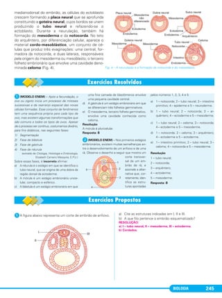BIOLOGIA 245
medianodorsal do embrião, as células do ectoblasto
crescem formando a placa neural que se aprofunda
constituindo a goteira neural, cujos bordos se unem
produzindo o tubo neural e refazendo-se o
ectoblasto. Durante a neurulação, também há
formação do mesoderma e da notocorda. No teto
do arquêntero, por diferenciação celular, aparece o
material cordo-mesoblástico, um conjunto de cé-
lulas que produz três evaginações: uma central, for-
madora da notocorda, e duas laterais, responsáveis
pela origem do mesoderma ou mesoblasto, o terceiro
folheto embrionário que envolve uma cavidade deno-
minada celoma (Fig. 4).
ᕡ(MODELO ENEM) – Após a fecundação, o
ovo ou zigoto inicia um processo de mitoses
sucessivas e de rearranjo espacial das novas
células formadas. Esse conjunto de fenômenos
tem uma sequência própria para cada tipo de
ovo, mas existem algumas transformações que
são comuns a todos os tipos de ovos. Apesar
de o processo ser contínuo, costumamos dividi-lo,
para fins didáticos, nas seguintes fases:
1) Segmentação
2) Fase de blástula
3) Fase de gástrula
4) Fase de nêurula
(extraído de Citologia, Histologia e Embriologia,
Elizabeth Carneiro Mesquita, E.P.U.)
Sobre essas fases, é incorreto afirmar:
a) A nêurula é o estágio em que se identifica o
tubo neural, que se origina de uma dobra da
região dorsal da ectoderme.
b) A mórula é um estágio embrionário unice-
lular, compacto e esférico.
c) A blástula é um estágio embrionário em que
uma fina camada de blastômeros envolve
uma pequena cavidade central.
d) A gástrula é um estágio embrionário em que
se diferenciam três folhetos germinativos.
e) O mesoderma, terceiro folheto germinativo,
envolve uma cavidade conhecida como
celoma.
Resolução
A mórula é pluricelular.
Resposta: B
ᕢ(MODELO ENEM) – Nos primeiros estágios
embrionários, existem muitas semelhanças en-
tre o desenvolvimento de um anfioxo e de uma
rã. Observe o desenho a seguir que mostra um
corte transver-
sal de um em-
brião de rã, e
assinale a alter-
nativa que, cor-
retamente, iden-
tifica as estru-
turas apontadas
pelos números 1, 2, 3, 4 e 5.
a) 1 – notocorda; 2 – tubo neural; 3 – intestino
primitivo; 4 – epiderme e 5 – neuroderme.
b) 1 – tubo neural; 2 – notocorda; 3 – ar-
quêntero; 4 – ectoderme e 5 – mesoderme.
c) 1 – tubo neural; 2 – celoma; 3 – notocorda;
4 – ectoderme e 5 – mesoderme.
d) 1 – notocorda; 2 – celoma; 3 – arquêntero;
4 – ectoderme e 5 – ectoderme.
e) 1– intestino primitivo; 2 – tubo neural; 3 –
celoma; 4 – notocorda e 5 – mesoderme.
Resolução
1 – tubo neural;
2 – notocorda;
3 – arquêntero;
4 – ectoderme;
5 – mesoderme.
Resposta: B
ᕡA figura abaixo representa um corte de embrião de anfioxo. a) Cite as estruturas indicadas em I, II e III.
b) A que filo pertence o embrião esquematizado?
RESOLUÇÃO:
a) I – tubo neural, II – mesoderma, III – ectoderma.
b) Cordados.
Fig. 4 – A neurulação e a formação da notocorda e do mesoblasto.
C1_1A_Biologia_2013_Keli 10/09/12 12:28 Page 245
 