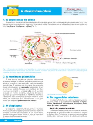 BIOLOGIA184
1. A organização da célula
Analisaremos nesse item a descrição sumária de uma célula animal típica, observada ao microscópio eletrônico, a fim
de que tenhamos uma primeira ideia sobre organização celular. Reconhecemos na célula três componentes fundamen-
tais: membrana, citoplasma e núcleo (Fig. 1).
Fig. 1 – Ultraestrutura de uma célula animal típica. Observar o grande número de mitocôndrias, as membranas do retículo endoplasmático, as cisternas
do sistema golgiense, os ribossomos, que produzem proteínas, o centríolo, que participa da divisão celular, o lisossomo, que efetua a digestão
intracelular, e o núcleo, que coordena todas as atividades celulares.
3 A ultraestrutura celular • Ribossomos • Mitocôndrias
• Lisossomos • Sistema golgiense
• Centríolos
2. A membrana plasmática
É uma película delgada de contorno irregular que
envolve a célula e através da qual são absorvidos água,
alimento e oxigênio (para respiração) e eliminadas várias
substâncias. O processo de eliminação de uma subs-
tância pela célula será uma secreção, caso se trate de um
produto que a célula fabricou com finalidade útil (hor-
mônio, por exemplo), ou uma excreção, isto é, quando é
expulso um resíduo (escória), resultante de reações
químicas que ocorrem na célula. A membrana plasmática
“seleciona” as substâncias que entram na célula e dela
saem, de acordo com suas necessidades. Diz-se, por-
tanto, que ela possui permeabilidade seletiva.
3. O citoplasma
O citoplasma é o constituinte celular mais volumoso;
formado pelo citosol e os organoides celulares. O citosol,
também chamado de hialoplasma, é um líquido trans-
parente homogêneo e sem estrutura, no qual estão mer-
gulhados os organoides celulares.
Célula vista ao microscópio óptico.
4. Os organoides celulares
Imersos no hialoplasma, encontramos os organoides
celulares, entre os quais citaremos: retículo endoplas-
mático, ribossomos, mitocôndrias, lisossomos, com-
plexo de Golgi e centríolos.
Retículo endoplasmático
O hialoplasma é percorrido por uma rede de vesículas
e canais que se intercomunicam, constituindo o retículo
endoplasmático. Trata-se de uma estrutura que auxilia a
distribuição e o armazenamento de substâncias celulares.
C1_1A_Biologia_2013_Keli 10/09/12 12:28 Page 184
 