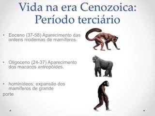 Vida na era Cenozoica:
Período terciário
• Eoceno (37-58) Aparecimento das
ordens modernas de mamíferos.
• Oligoceno (24-37) Aparecimento
dos macacos antropóides.
• hominídeos; expansão dos
mamíferos de grande
porte
 