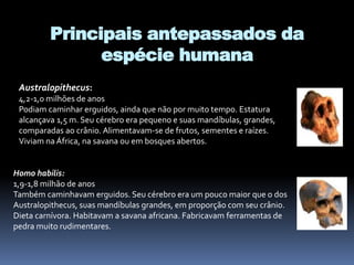 Principais antepassados da
espécie humana
Australopithecus:
4,2-1,0 milhões de anos
Podiam caminhar erguidos, ainda que não por muito tempo. Estatura
alcançava 1,5 m. Seu cérebro era pequeno e suas mandíbulas, grandes,
comparadas ao crânio. Alimentavam-se de frutos, sementes e raízes.
Viviam na África, na savana ou em bosques abertos.
Homo habilis:
1,9-1,8 milhão de anos
Também caminhavam erguidos. Seu cérebro era um pouco maior que o dos
Australopithecus, suas mandíbulas grandes, em proporção com seu crânio.
Dieta carnívora. Habitavam a savana africana. Fabricavam ferramentas de
pedra muito rudimentares.
 