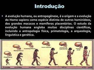 Introdução
 A evolução humana, ou antropogênese, é a origem e a evolução
do Homo sapiens como espécie distinta de outros hominídeos,
dos grandes macacos e mamíferos placentários. O estudo da
evolução humana engloba muitas disciplinas científicas,
incluindo a antropologia física, primatologia, a arqueologia,
linguística e genética.
 