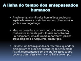 A linha do tempo dos antepassados
humanos
 Atualmente, a família dos hominídeos engloba a
espécie humana e os símios, como o chimpanzé, o
gorila e o orangotango.
 Mas, no passado, existiram outros hominídeos,
conhecidos somente pelos fósseis encontrados.
Precisamente, uma das mais importantes jazidas
arqueológicas é a Atapuerca, em Burgos.
 Os fósseis indicam quando apareceram e quando se
extinguiram as espécies anteriores ao ser humano.
Assim, representando em um gráfico esses dados,
pode-se obter dessa forma, uma linha do tempo.
 