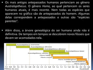  Os mais antigos antepassados humanos pertenciam ao gênero
Australopithecus. O gênero Homo, ao qual pertencem os seres
humanos atuais, é mais recente. Nem todas as espécies que
aparecem no gráfico são de antepassados do homem. Algumas
delas correspondem a antepassados e outras são “espécies
parentes”.
 Além disso, a árvore genealógica do ser humano ainda não é
definitiva. De tempos em tempos se descobrem novos fósseis que
devem ser acomodados nela.
 