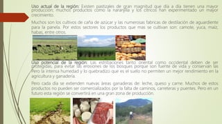 Uso actual de la región: Existen pastizales de gran magnitud que día a día tienen una mayor
producción; muchos productos como la naranjilla y los cítricos han experimentado un mayor
crecimiento.
Muchos son los cultivos de caña de azúcar y las numerosas fabricas de destilación de aguardiente
para la panela. Por estos sectores los productos que mas se cultivan son: camote, yuca, maíz,
habas, entre otros.
Uso potencial de la región: Las estribaciones tanto oriental como occidental deben de ser
protegidas, para evitar las erosiones de los bosques porque son fuente de vida y conservan las
Pero la intensa humedad y lo quebradizo que es el suelo no permiten un mejor rendimiento en la
agricultura y ganadería.
Pero cada día se extienden nuevas áreas ganaderas de: leche, queso y carne. Muchos de estos
productos no pueden ser comercializados por la falta de caminos, carreteras y puentes. Pero en un
futuro esta región se convertirá en una gran zona de producción.
 