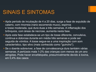 SINAIS E SINTOMAS
 Após período de incubação de 4 a 20 dias, surge a fase de expulsão de
catarro, com rinorreia (nariz escorrendo muco), espirros
e tosse moderada, que dura duas a três semanas. A inflamação dos
brônquios, com áreas de necrose, aumenta nesta fase.
 Após esta fase estabelece-se um tipo de tosse diferente, convulsiva,
continua e dolorosa durante em média três semanas e pode ser
seguida de vómitos. A tosse segue-se a uma inspiração com som
característico, tipo silvo (mais conhecido como "guincho").
 Se o doente sobreviver, a fase de convalescença dura também várias
semanas. A pertússis mata 1-2% das crianças com menos de um ano
atingidas. Pode haver encefalopatia, presumivelmente devido à toxina,
em 0,4% dos casos
 