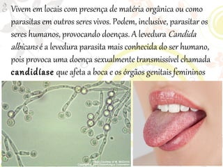 
Vivem em locais com presença de matéria orgânica ou como
parasitas em outros seres vivos. Podem, inclusive, parasitar os
seres humanos, provocando doenças. A levedura Candida
albicans é a levedura parasita mais conhecida do ser humano,
pois provoca uma doença sexualmente transmissível chamada
candidíase que afeta a boca e os órgãos genitais femininos
 