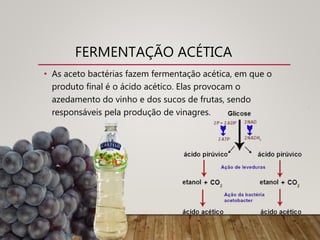 FERMENTAÇÃO ACÉTICA
• As aceto bactérias fazem fermentação acética, em que o
produto final é o ácido acético. Elas provocam o
azedamento do vinho e dos sucos de frutas, sendo
responsáveis pela produção de vinagres.
 