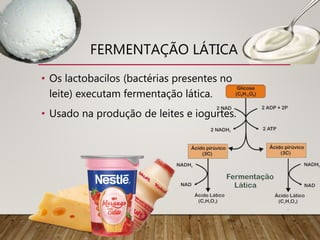 FERMENTAÇÃO LÁTICA
• Os lactobacilos (bactérias presentes no
leite) executam fermentação lática.
• Usado na produção de leites e iogurtes.
 