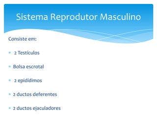 Sistema Reprodutor Masculino

Consiste em:

  2 Testículos

  Bolsa escrotal

  2 epidídimos

  2 ductos deferentes

  2 ductos ejaculadores
 